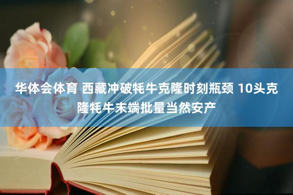 华体会体育 西藏冲破牦牛克隆时刻瓶颈 10头克隆牦牛末端批量当然安产