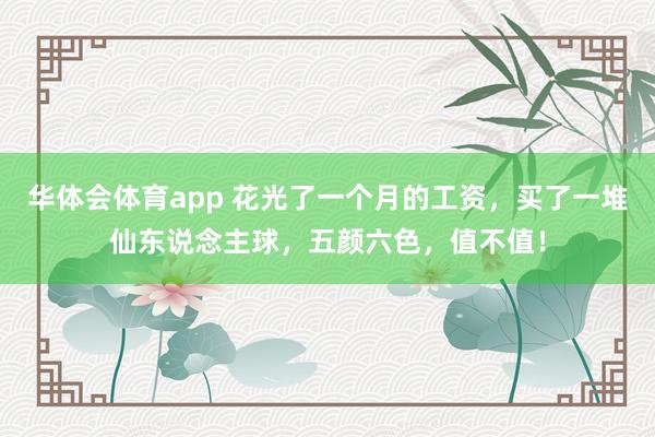 华体会体育app 花光了一个月的工资，买了一堆仙东说念主球，五颜六色，值不值！