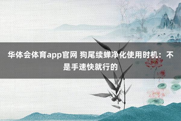 华体会体育app官网 狗尾续蝉净化使用时机：不是手速快就行的