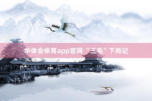 华体会体育app官网 “三毛”下岗记