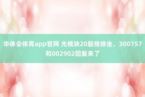 华体会体育app官网 光模块20股排排坐，300757和002902回复来了